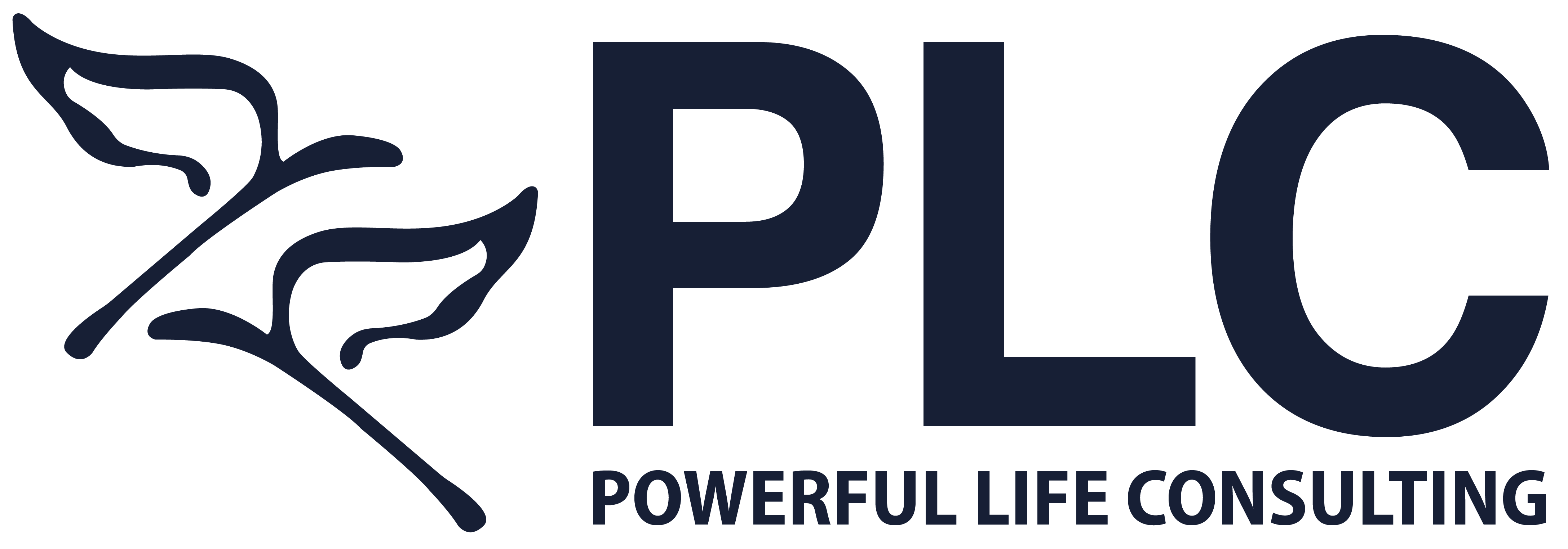 PLC Blue-04 PLC Blue-04